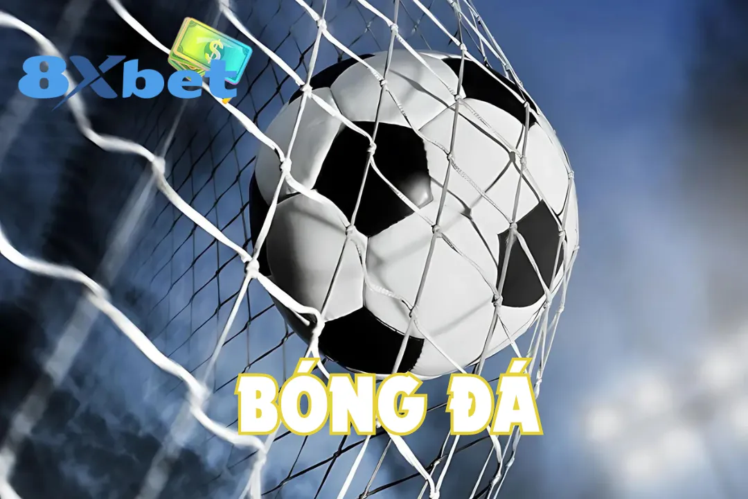 Cá Độ Bóng Đá Là Gì? Các Kèo Cược Phổ Biến Nhất Tại 8Xbet